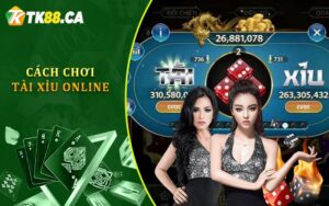 Cách Chơi Tài Xỉu Online