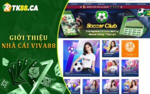 Giới Thiệu Nhà Cái VIVA88