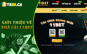 Giới Thiệu Về Nhà Cái 11BET