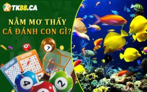 Nằm mơ thấy cá đánh con gì