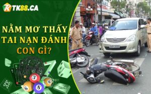 Nằm mơ thấy tai nạn đánh con gì?