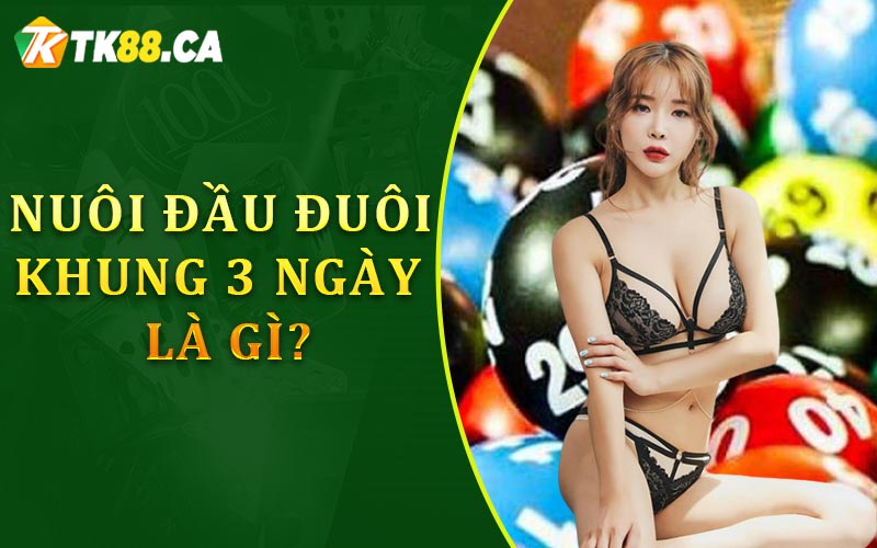 Nuôi đầu đuôi khung 3 ngày là gì?